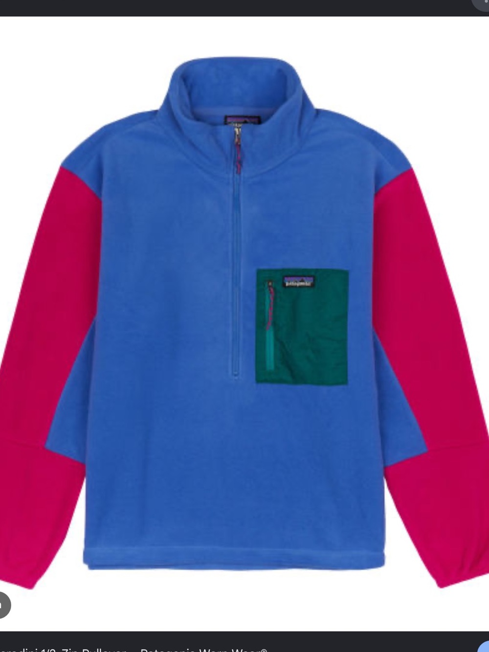 Patagonia 1/2 Zip Microdini